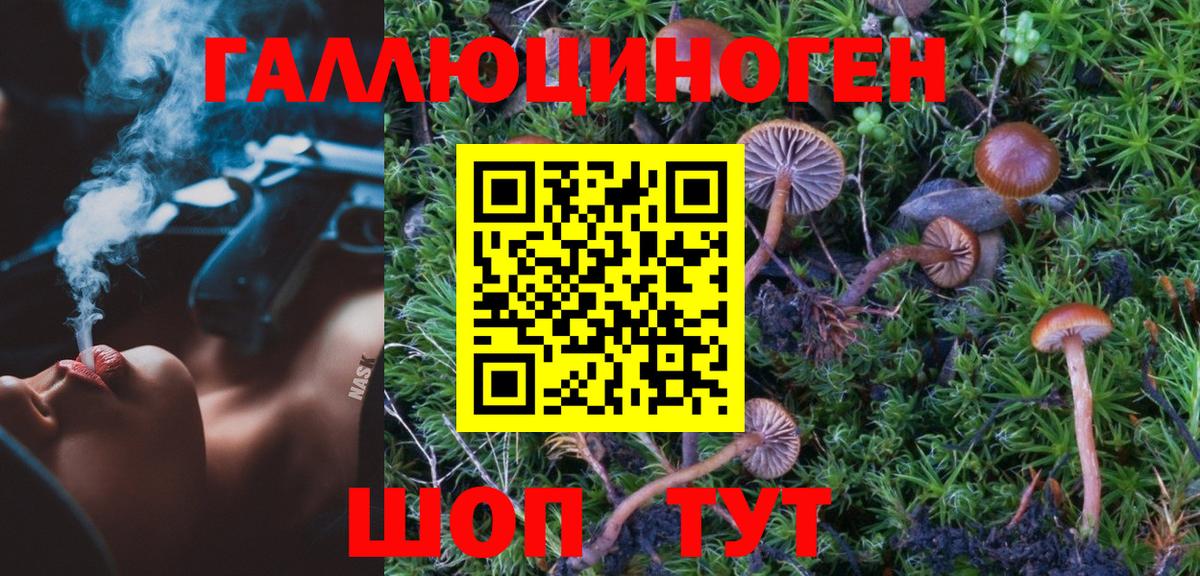 Псилоцибиновые грибы мицелий Бийск