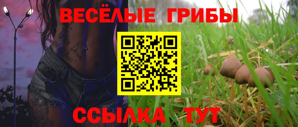 Галлюциногенные грибы мухоморы  Псилоцибиновые грибы Magic Shrooms  как найти наркотики  Вход с VPN  Бийск 