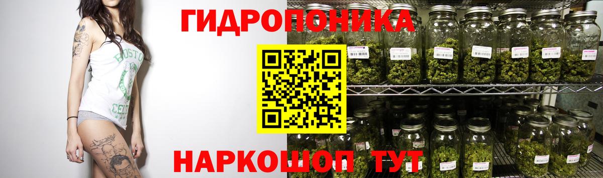 Бийск  Каннабис White Widow  Вход с VPN  Марихуана OG Kush  Бошки Шишки MAZAR  МАРИХУАНА гибрид 